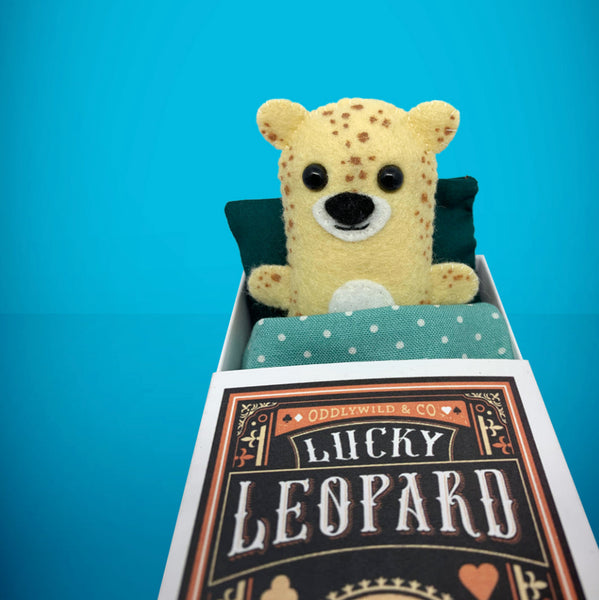 Felt leopard in a box