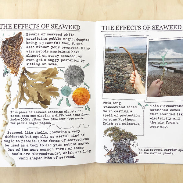 A Field Guide to Pebble Magic book two