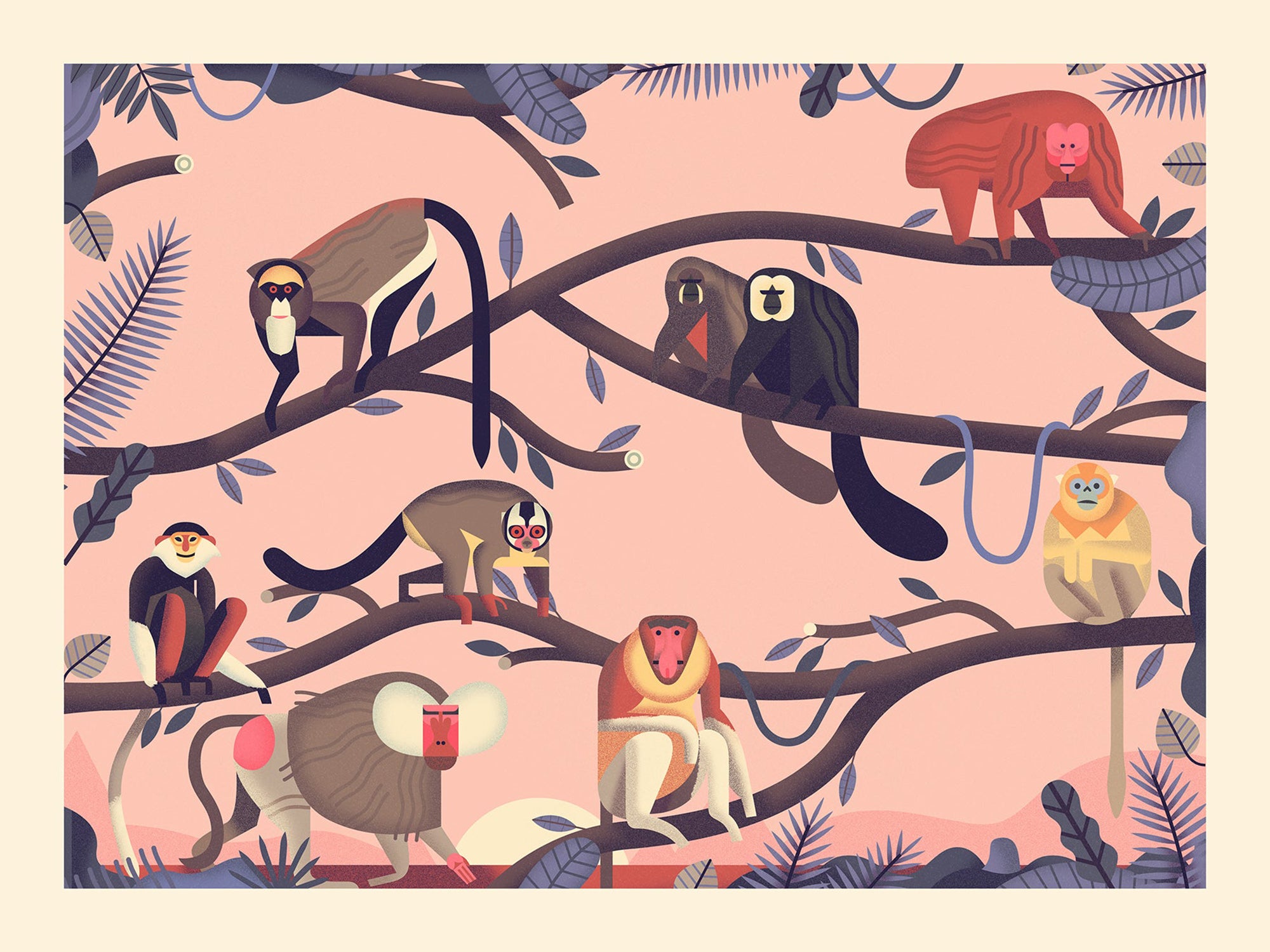 Weird and Wonderful monkey A3 print