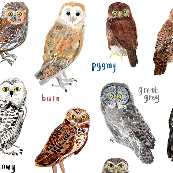 Hooters A4 print