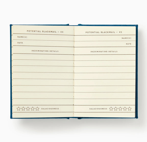 Future Blackmail Tiny Diary