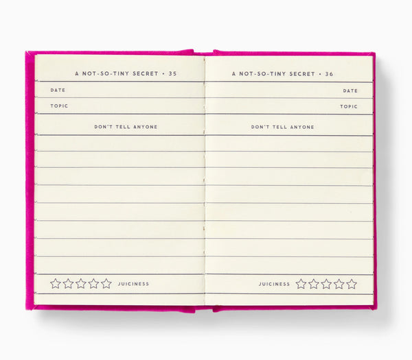 Not So Tiny Secrets Tiny Diary