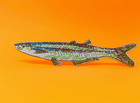 Fish 'Any Fin Is Possible' Bookmark