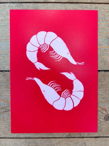 Prawns print