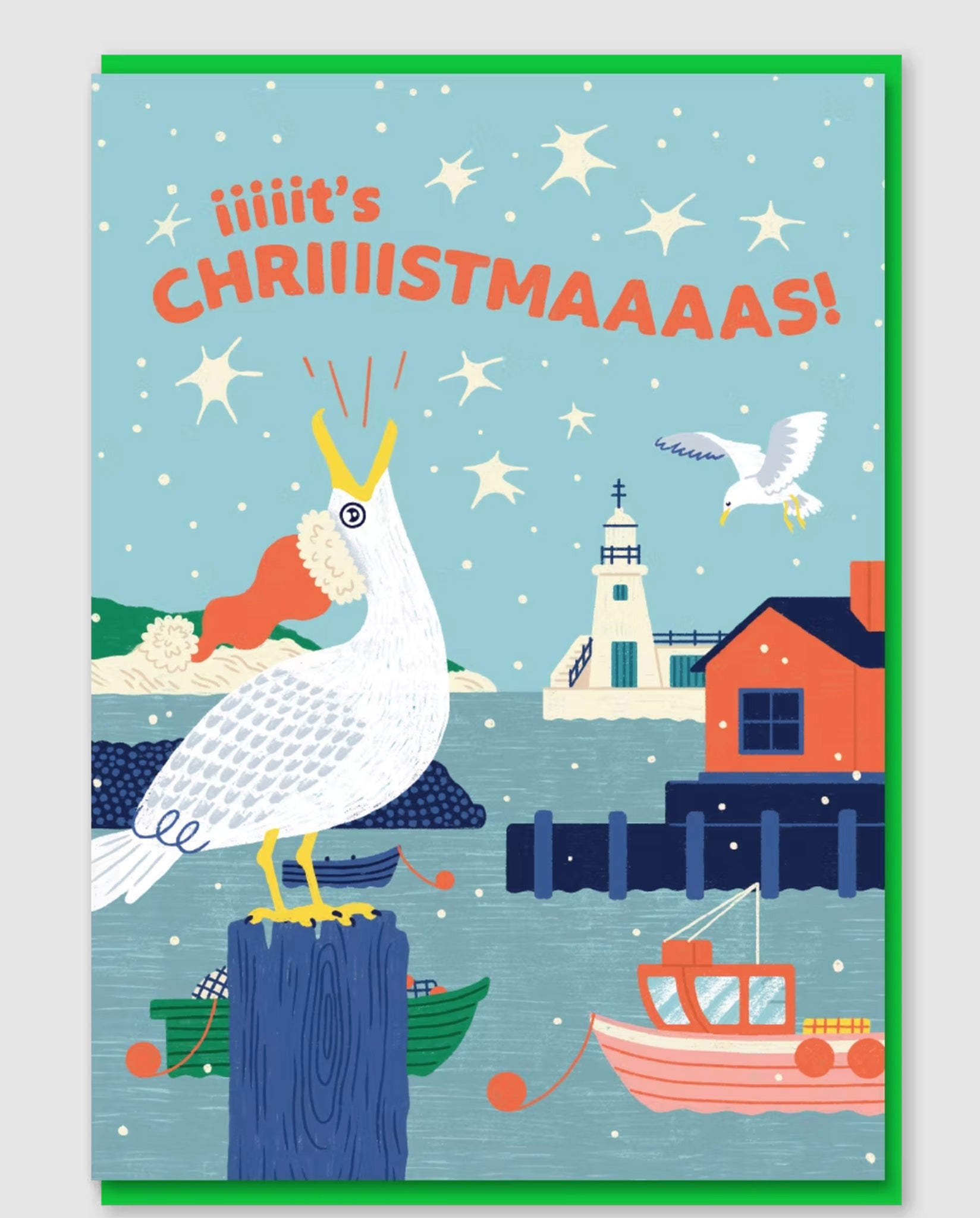 It's Christmas Seagull Christmas card