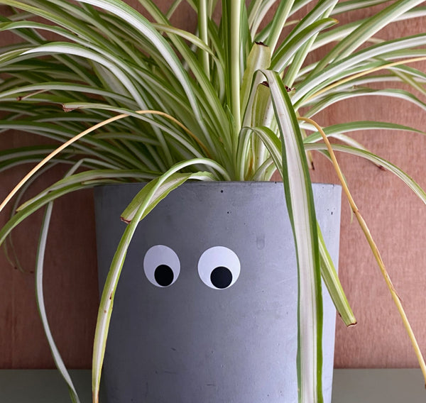 Googly Eye waterproof sticker pack