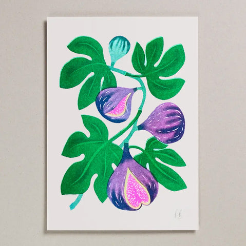 Fig riso print