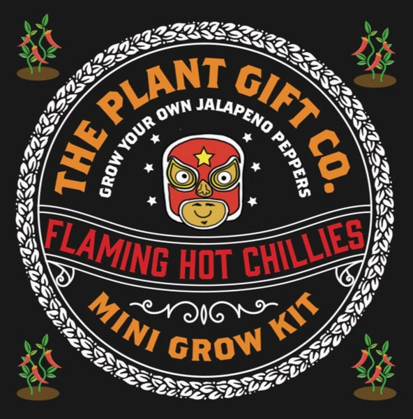 Flaming Hot Chillies Eco Grow Kit