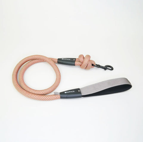 Multi Colour Rope Dog Lead