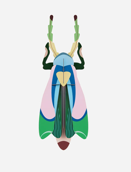 Sakura Beetle wall art
