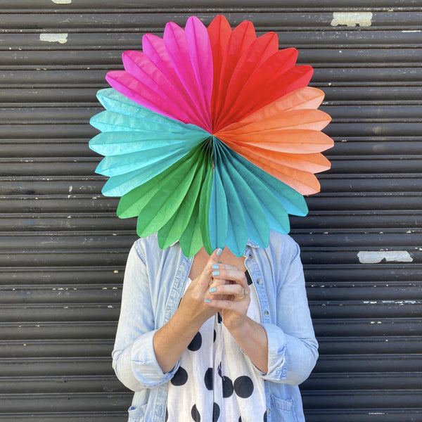 Multi coloured fan