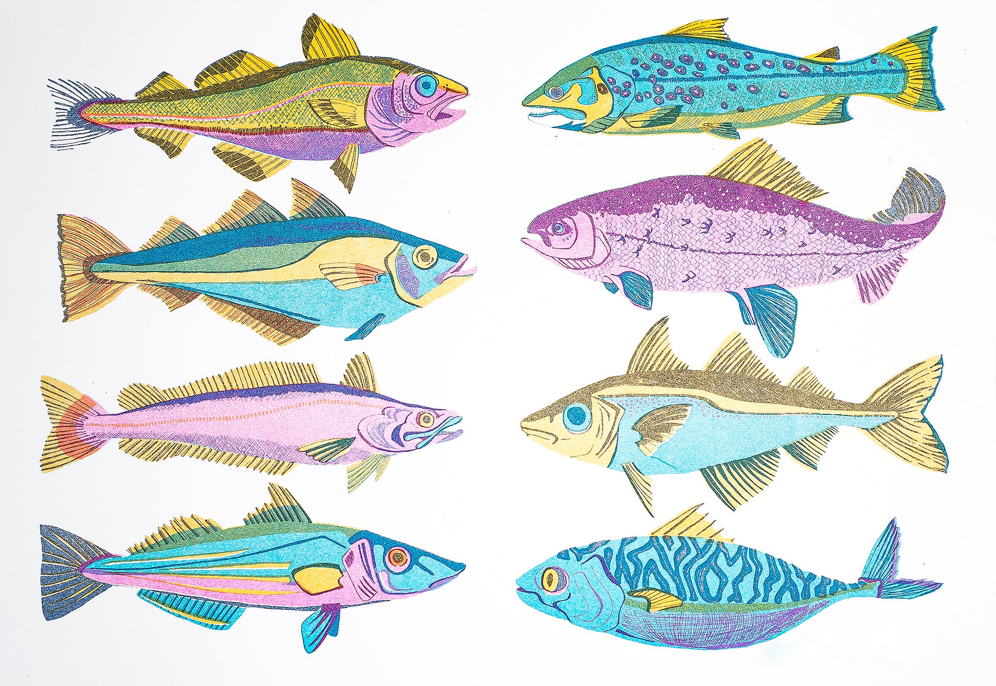 British Fish risograph print
