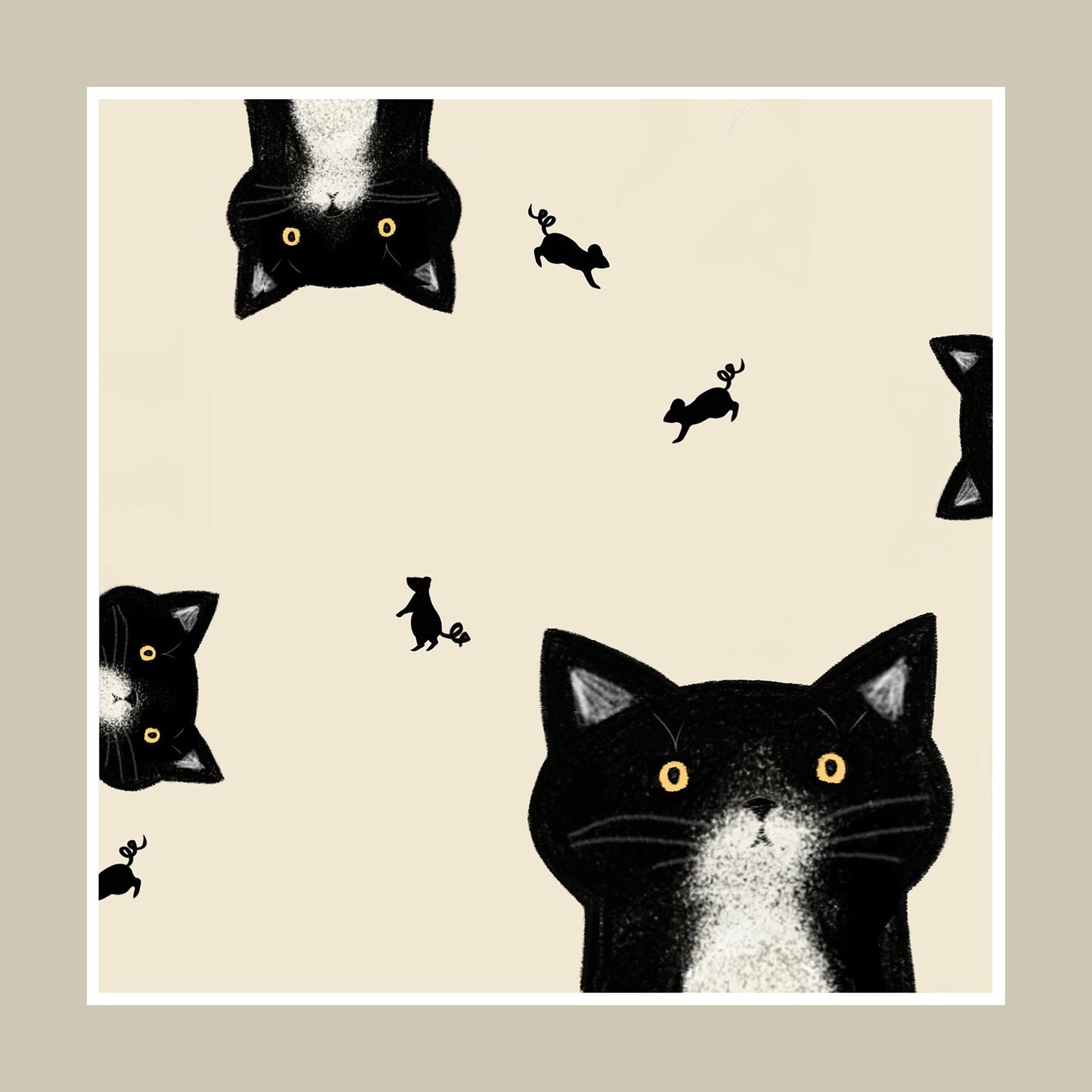 Confused cat greetings card