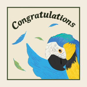Parrot congratulations greetings card