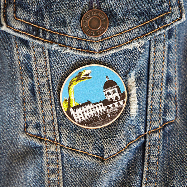 Dippy and Dome pin badge