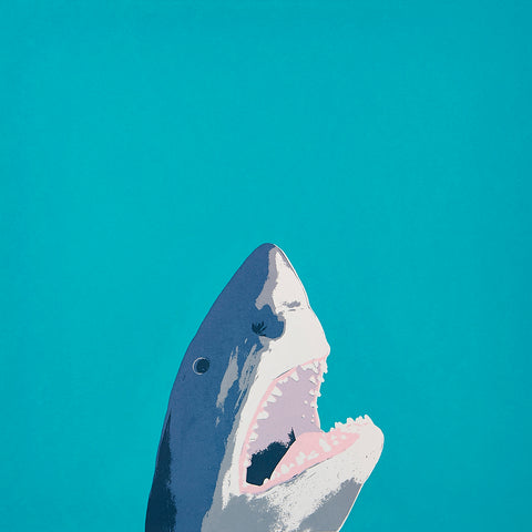 North Laine Shark Greetings Card - Inspired 