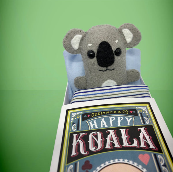 Felt koala in a box