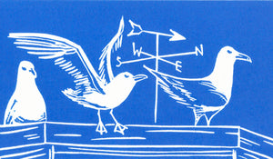 Seagulls card