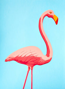 Fernando Flamingo A4 giclee print - Inspired 