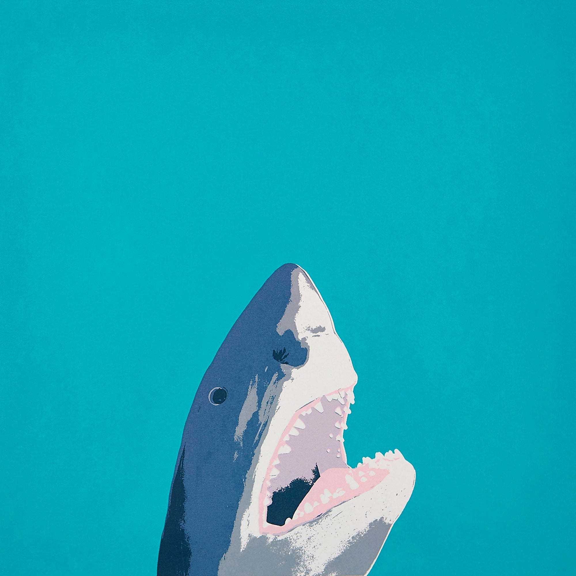 North Laine Shark giclee print - Inspired 