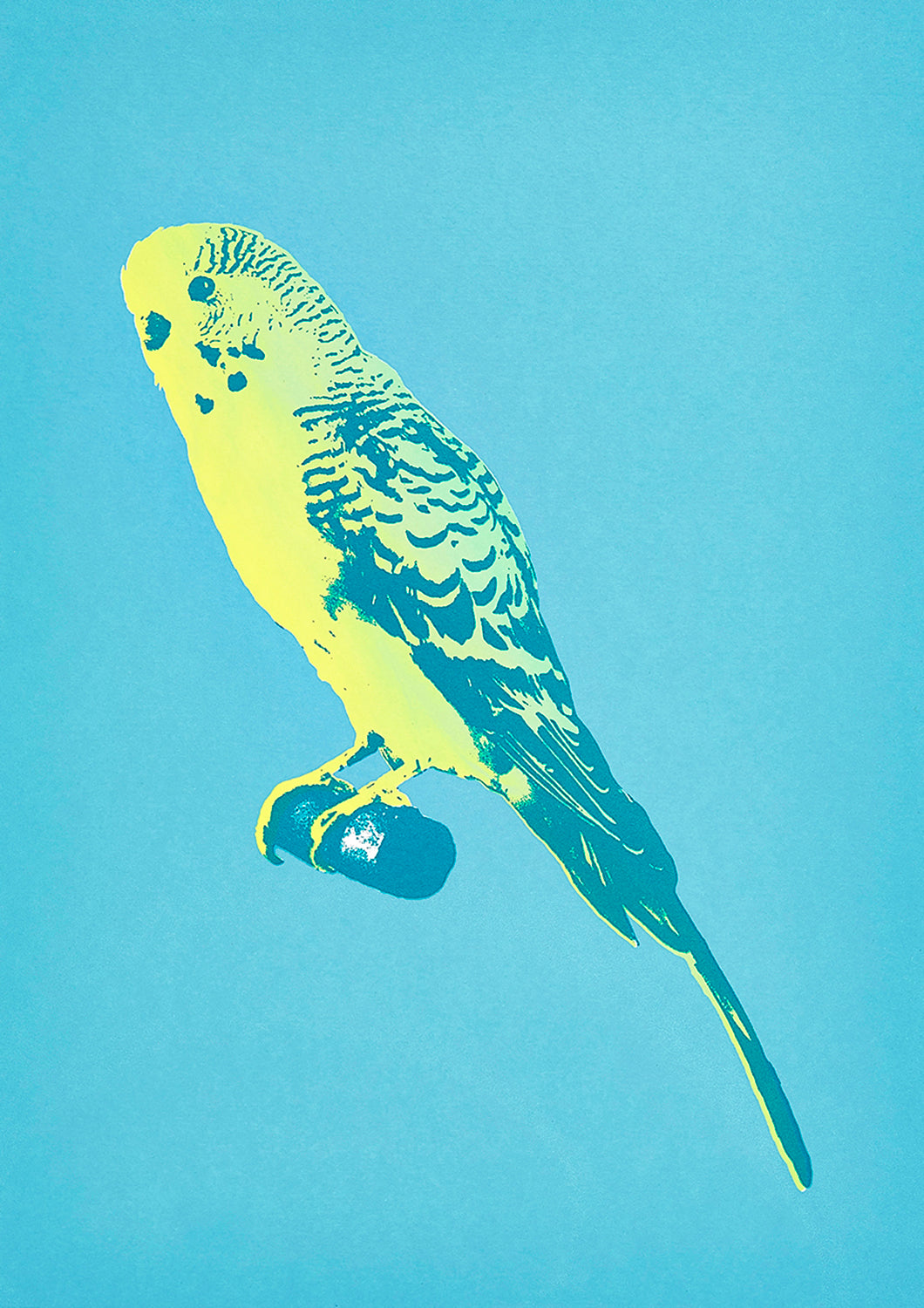 Booth Budgie Greetings Card - Inspired 