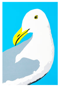 Douglas Gull greetings card - Inspired 