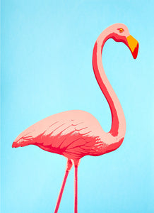 Fernando Flamingo greetings card - Inspired 
