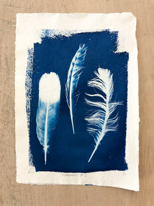 Feathers A4 cyanotype