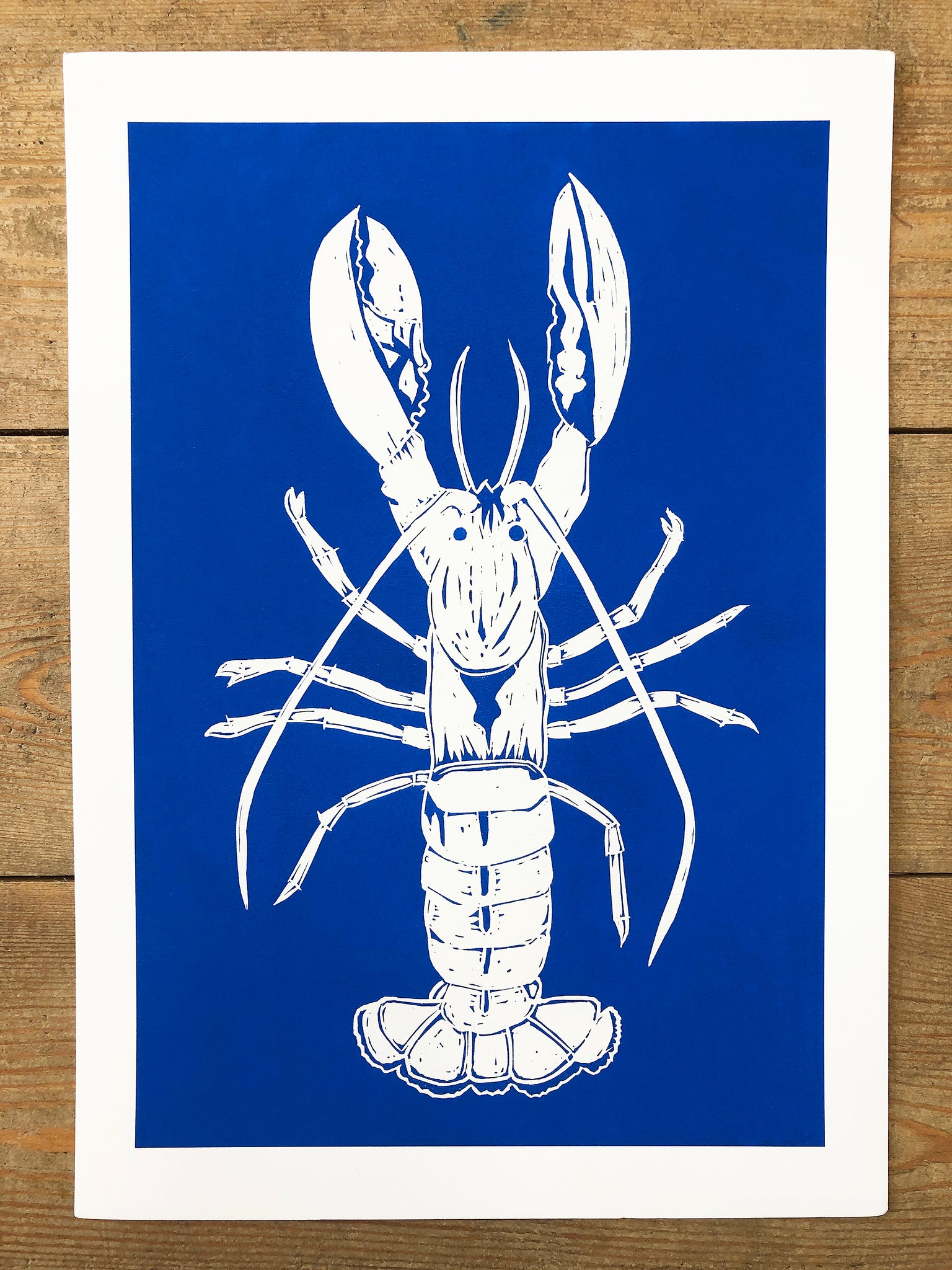 Lobster A4 print