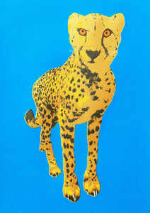 Cheetah Greetings Card